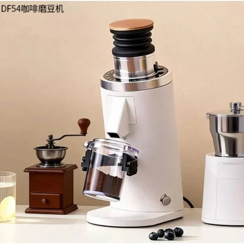 DF54 Elektrische Kaffeebohnenm – Coffee Grinder Burr Flat Bewertung und Preis